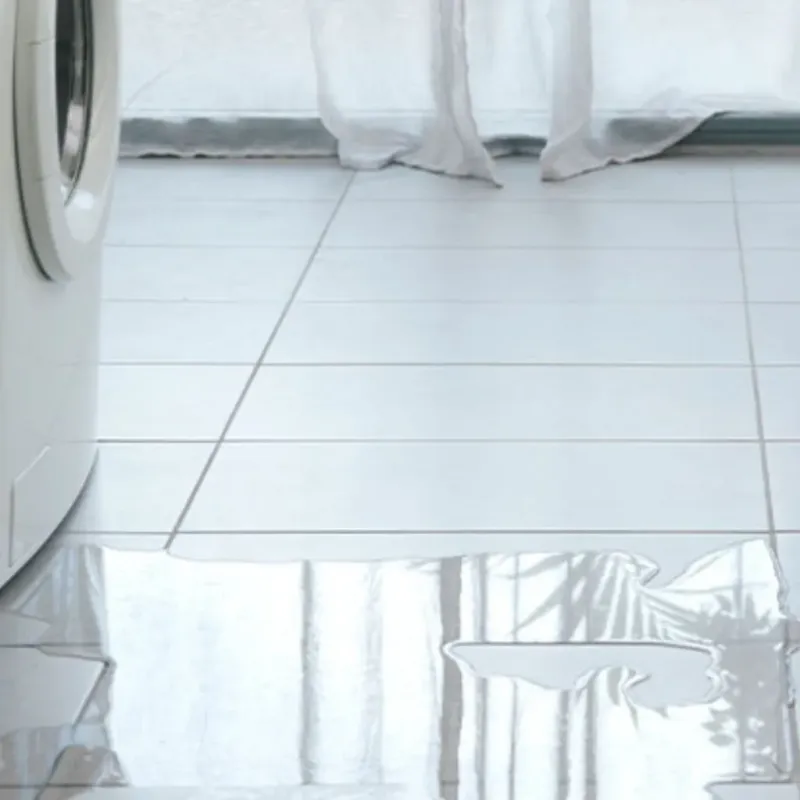 Appliance Leak Cleanup in Carrollton, OH