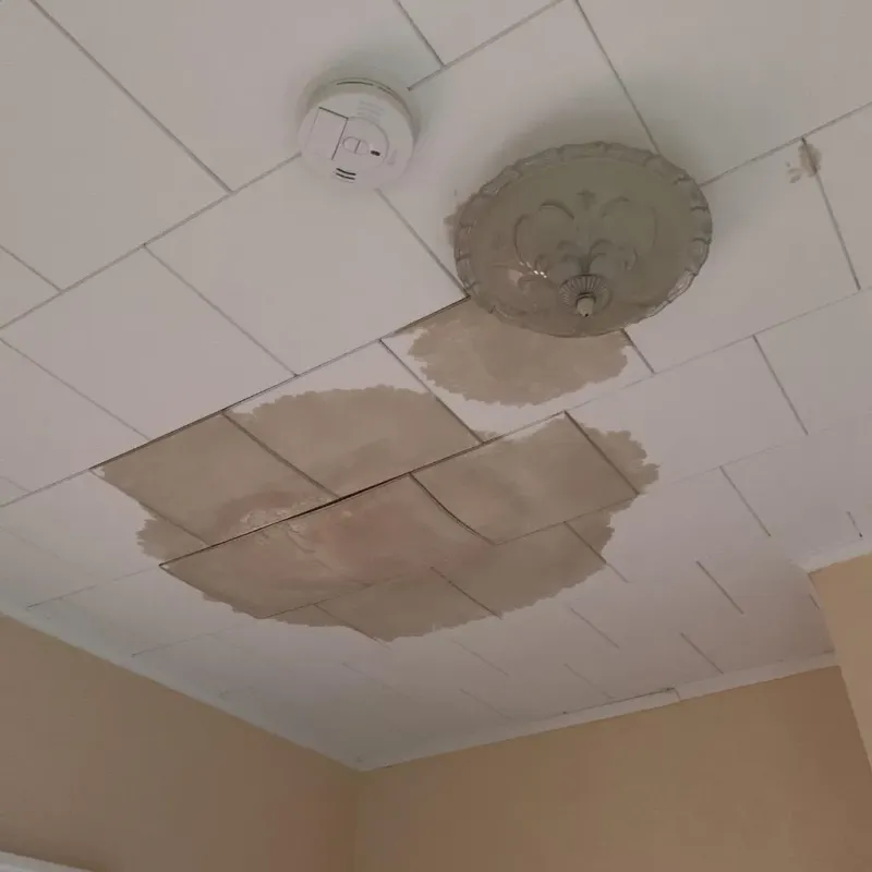 Ceiling Water Damage Repair in Carrollton, OH