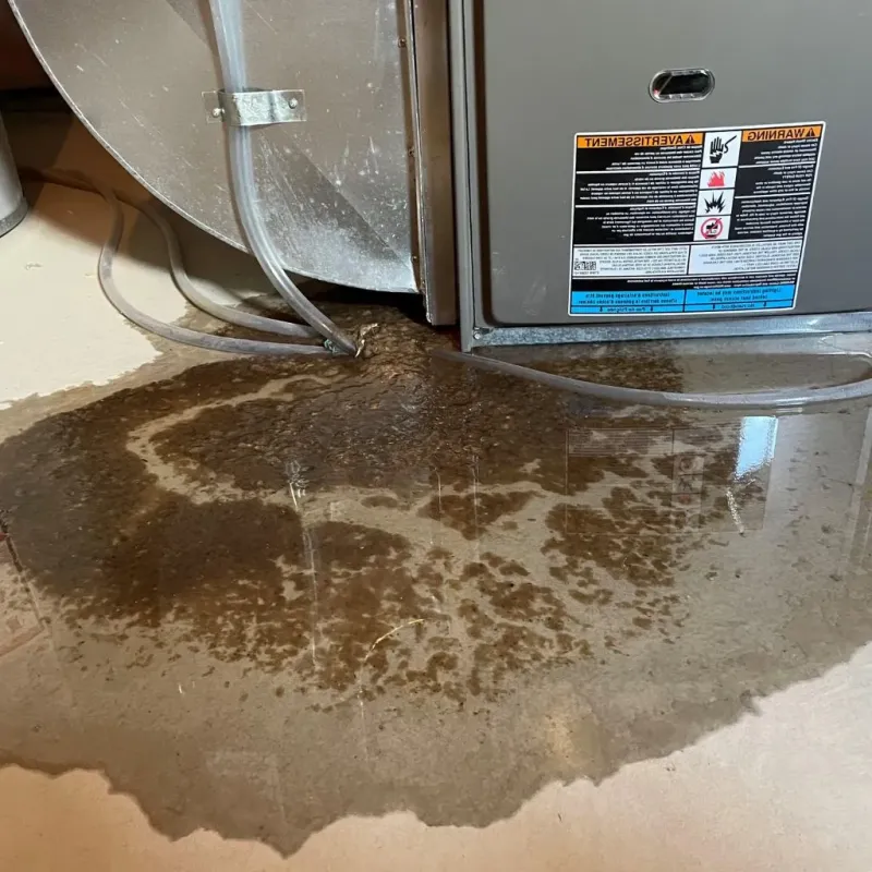 Pipe Burst and Leak Restoration in Carrollton, OH
