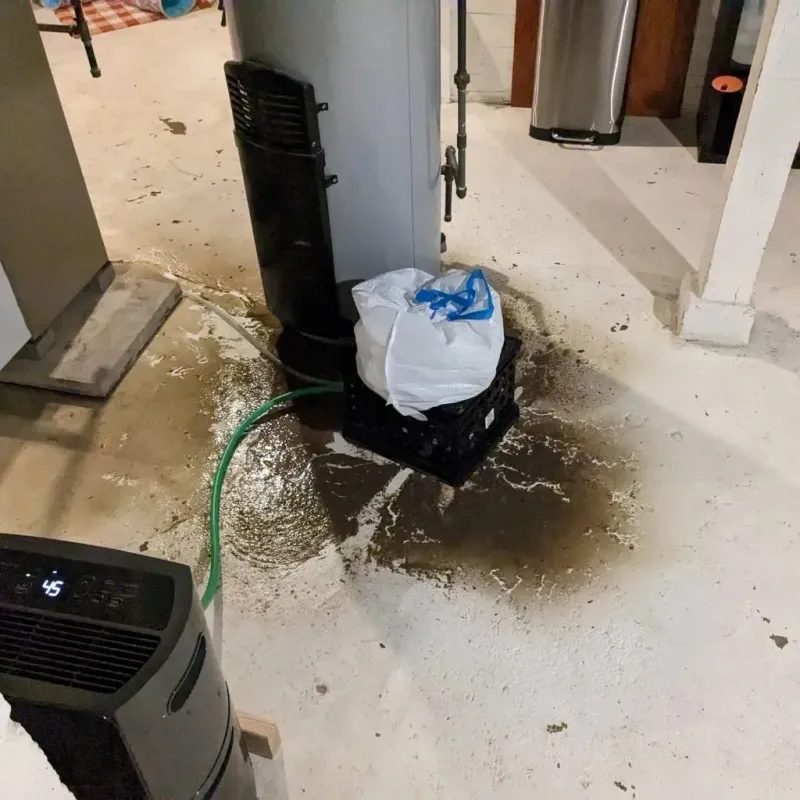 Sewage Backup Cleanup Service in Carrollton, OH